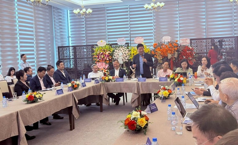 Mô hình Toàn cảnh Kinh tế tư nhân Việt Nam: Cầu nối công – tư cho phát triển- Ảnh 2.