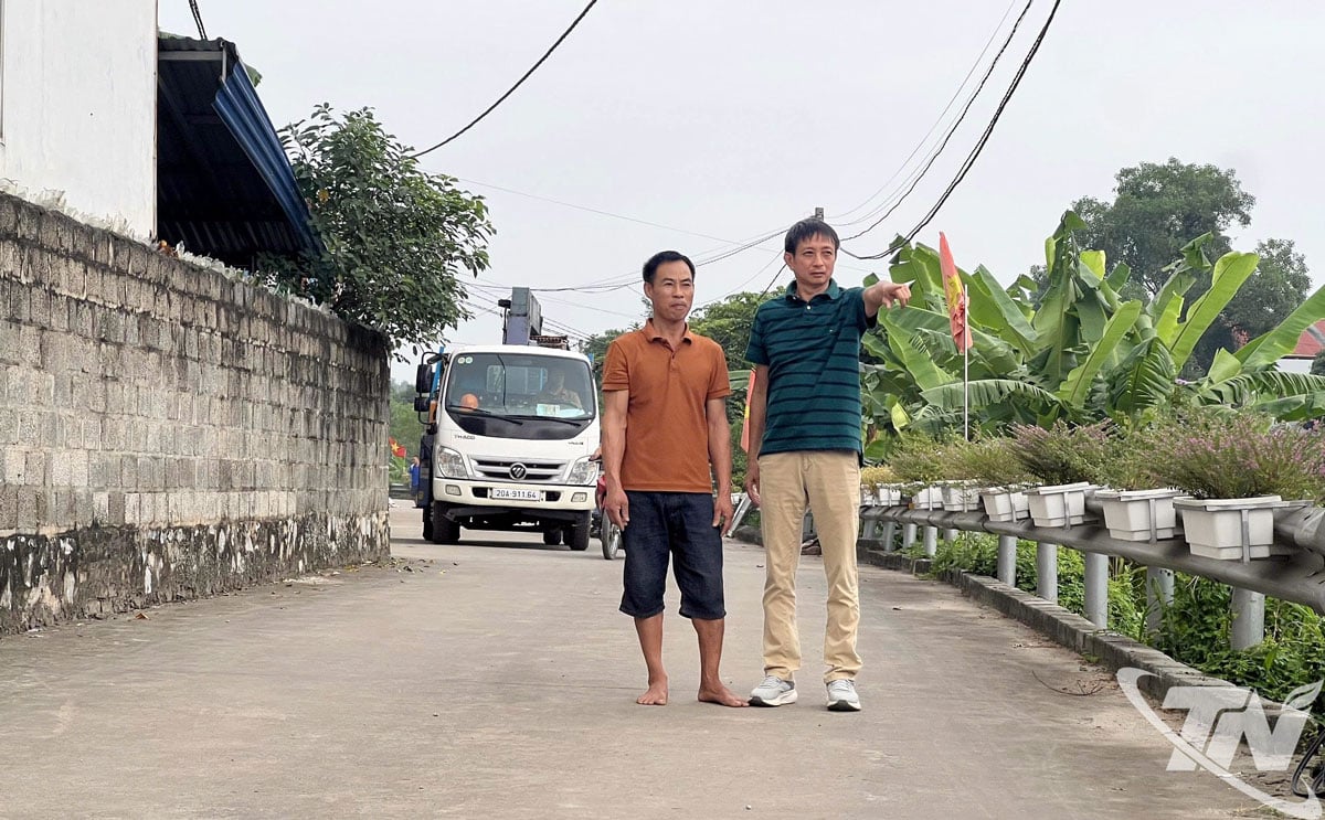 Mr. Hoang Van Thai, group 4, Quyet Thang ward, chatted with neighbors, discussing about planting trees on the roadside leading to lane 650, Quang Trung street.