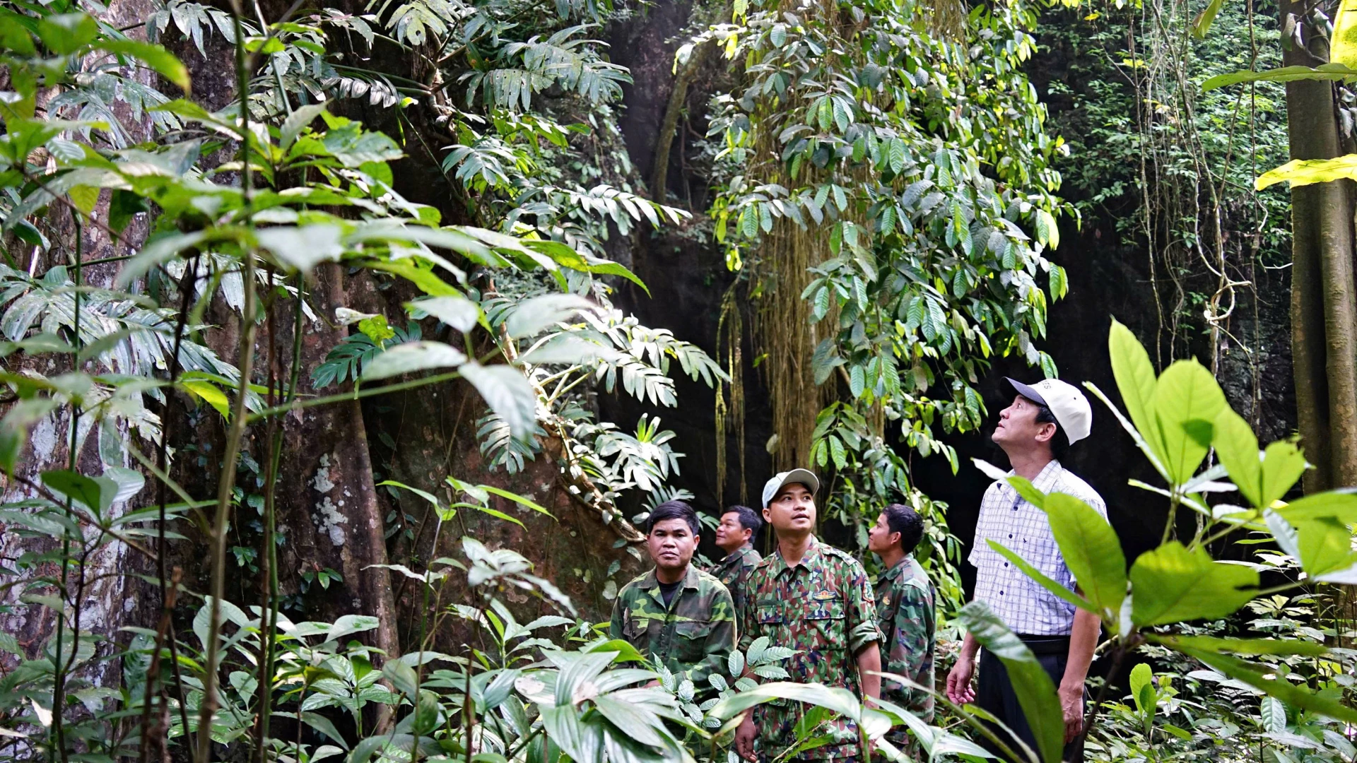 ការល្បាតការពារព្រៃឈើនៅក្រុមប្រឹក្សាគ្រប់គ្រងព្រៃឈើប្រើប្រាស់ពិសេសខេត្ត Quang Tri - រូបថត៖ L.An