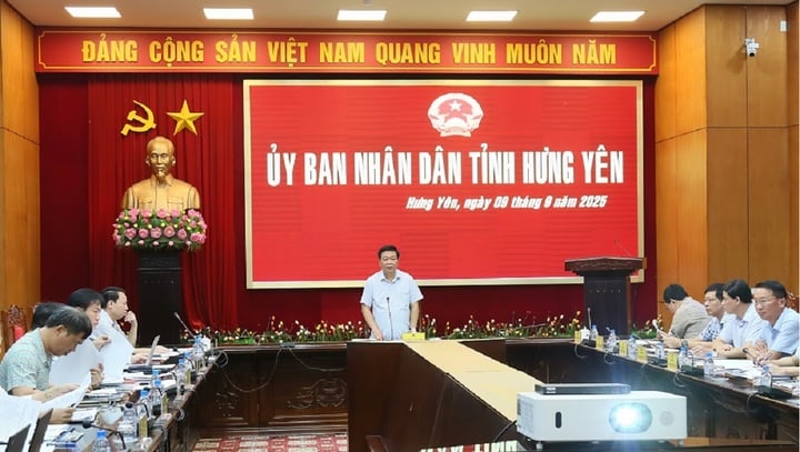 លោក Nguyen Quang Hung - អនុប្រធានអចិន្ត្រៃយ៍នៃគណៈកម្មាធិការប្រជាជនខេត្ត Hung Yen បានដឹកនាំកិច្ចប្រជុំ។ (រូបថត៖ តាត ដេត)