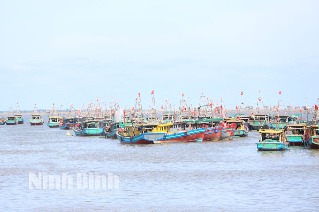 ទូកនេសាទដែលបានបោះយុថ្កានៅកំពង់ផែនេសាទ Giao Hai ឃុំ Giao Phuc ត្រូវបានគ្រប់គ្រងយ៉ាងតឹងរ៉ឹងក្នុងកំឡុងពេលកំពូលនៃការប្រយុទ្ធប្រឆាំងនឹងការនេសាទខុសច្បាប់ (IUU)។