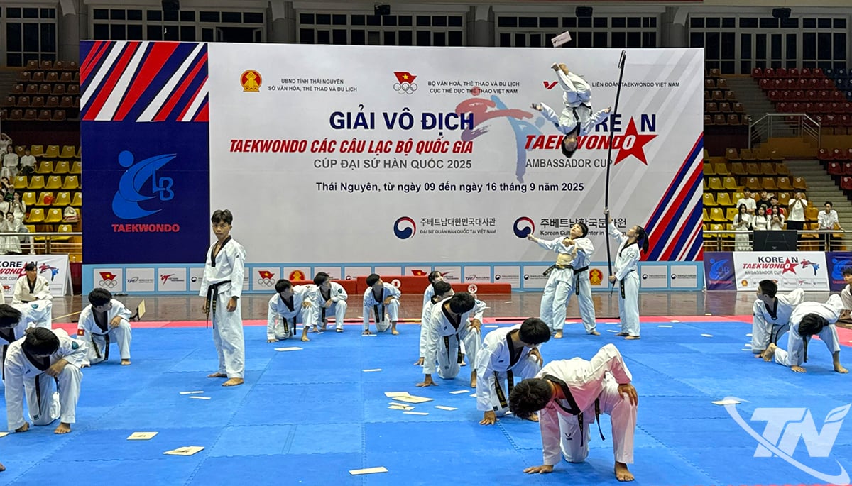 អត្ត​ព​លិ​ក​ក្បាច់​គុន​សម្តែង​ក្នុង​ពិធី​បើក​។