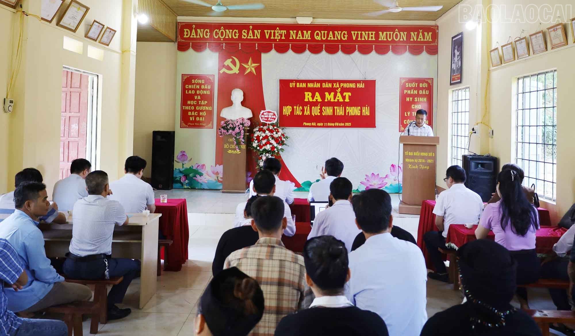 baolaocai-tr_a3.jpg