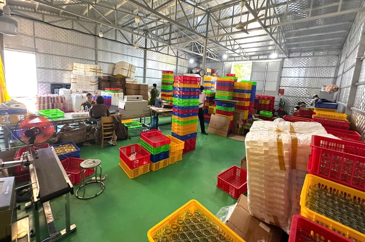 yến giả - Ảnh 2.