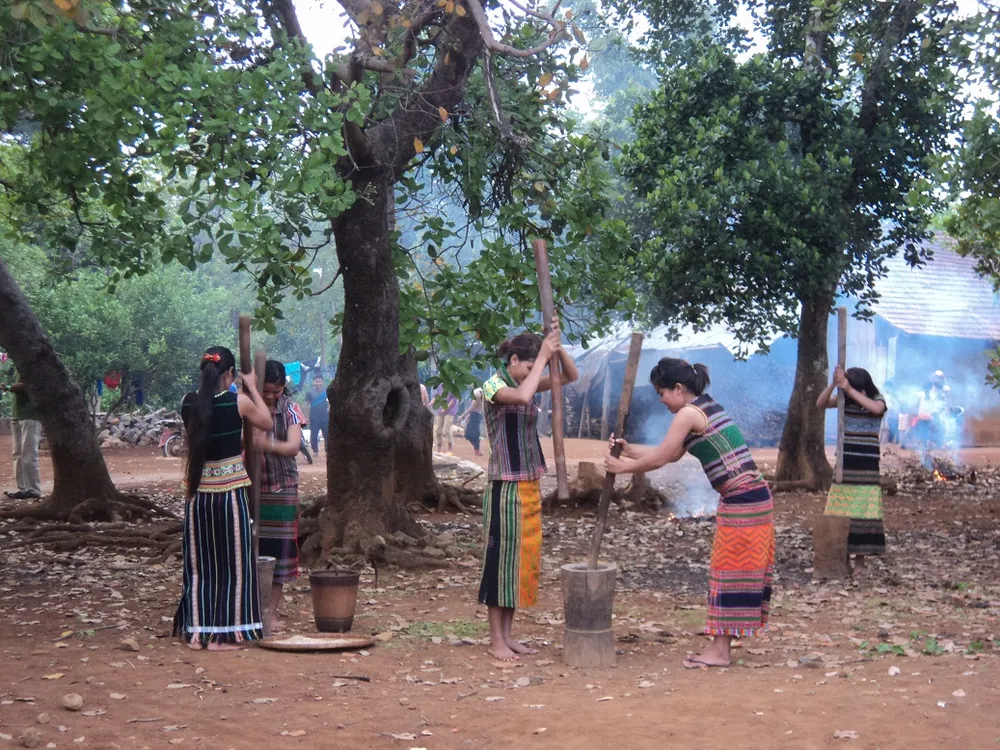 Stieng ethnic girl in Bom Bo village pounding rice traditionally