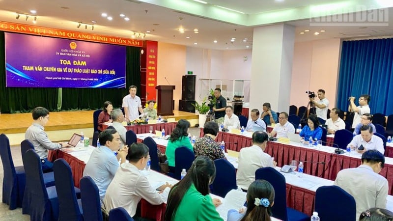 ទិដ្ឋភាពនៃវគ្គពិគ្រោះយោបល់។
