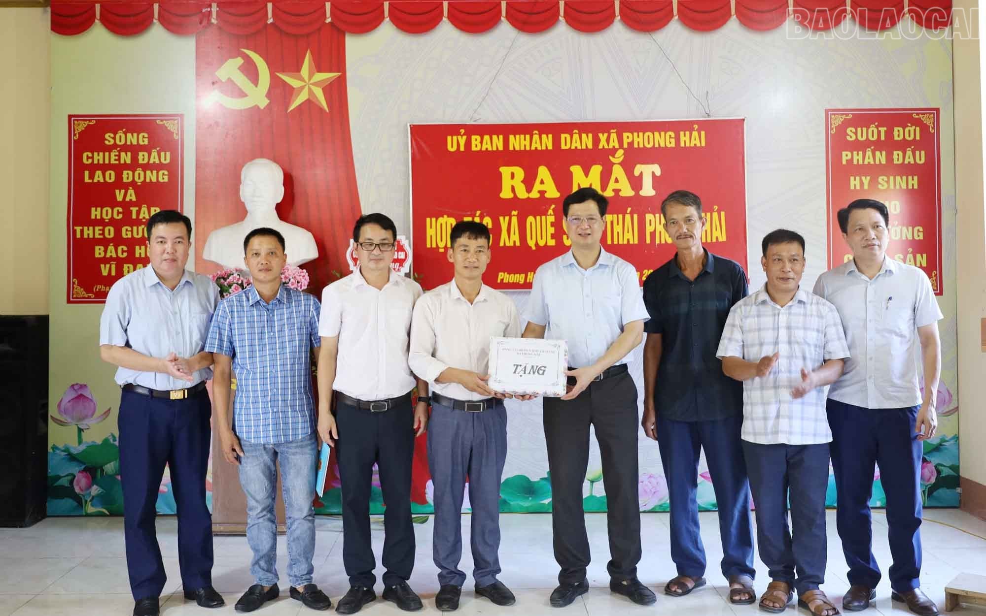 baolaocai-tr_2.jpg