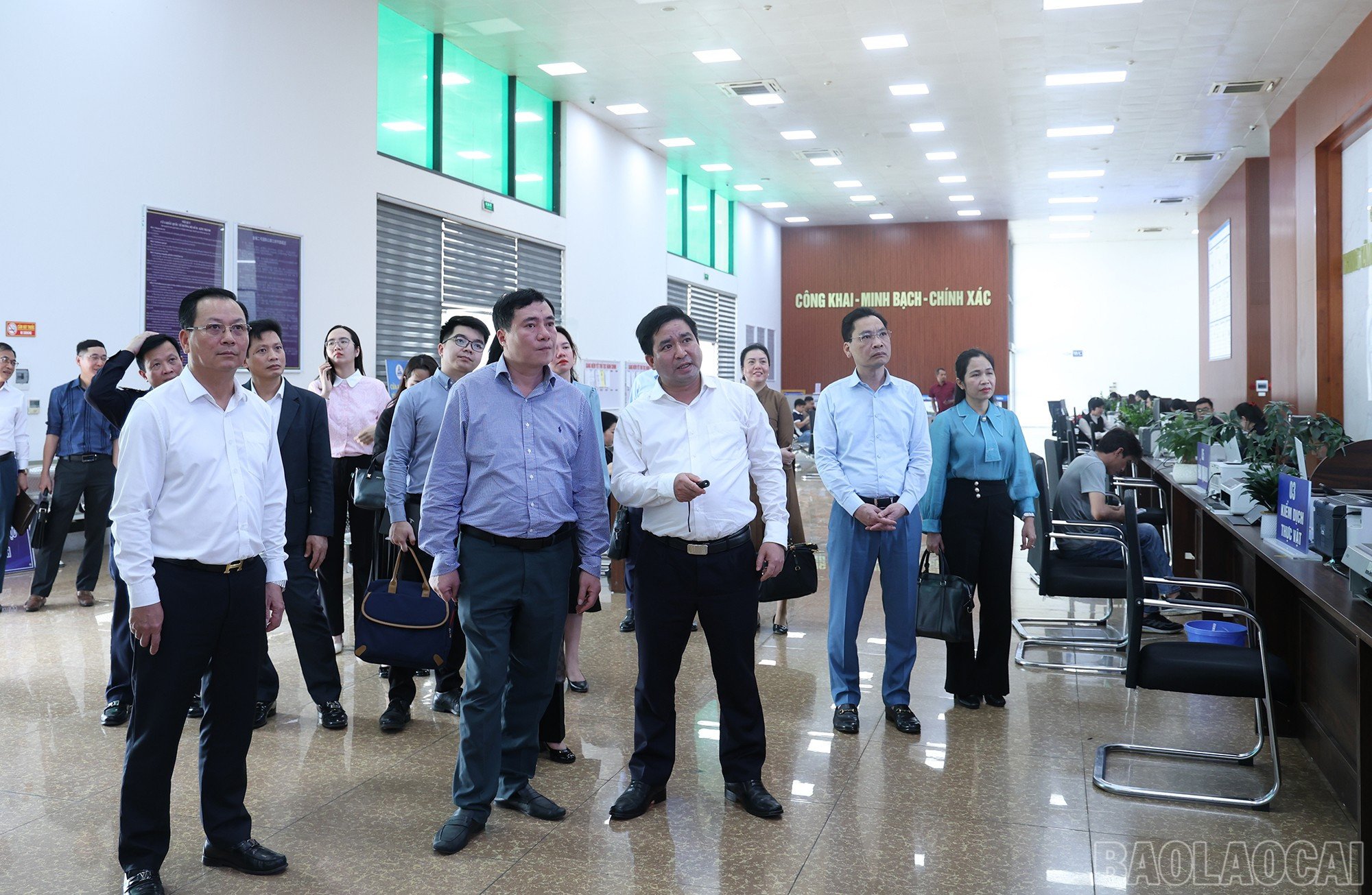 baolaocai-br_ks-3.jpg