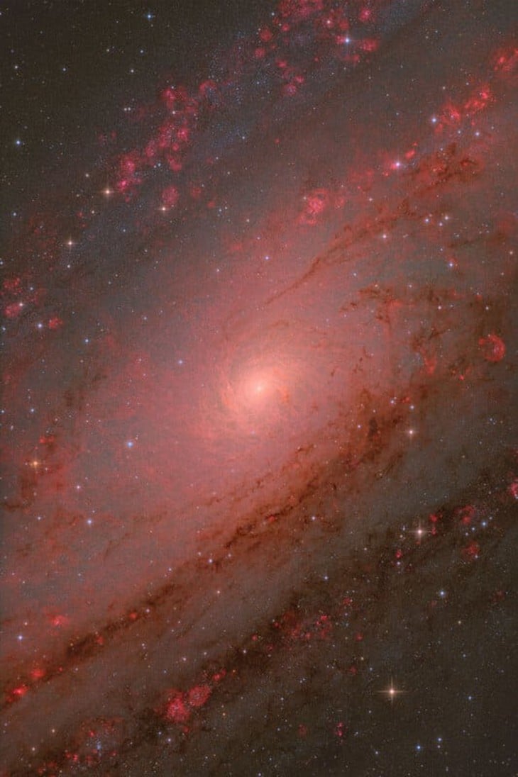 'Oscar của nhiếp ảnh thiên văn': Andromeda và những tuyệt tác bầu trời đêm 2025 - Ảnh 1.