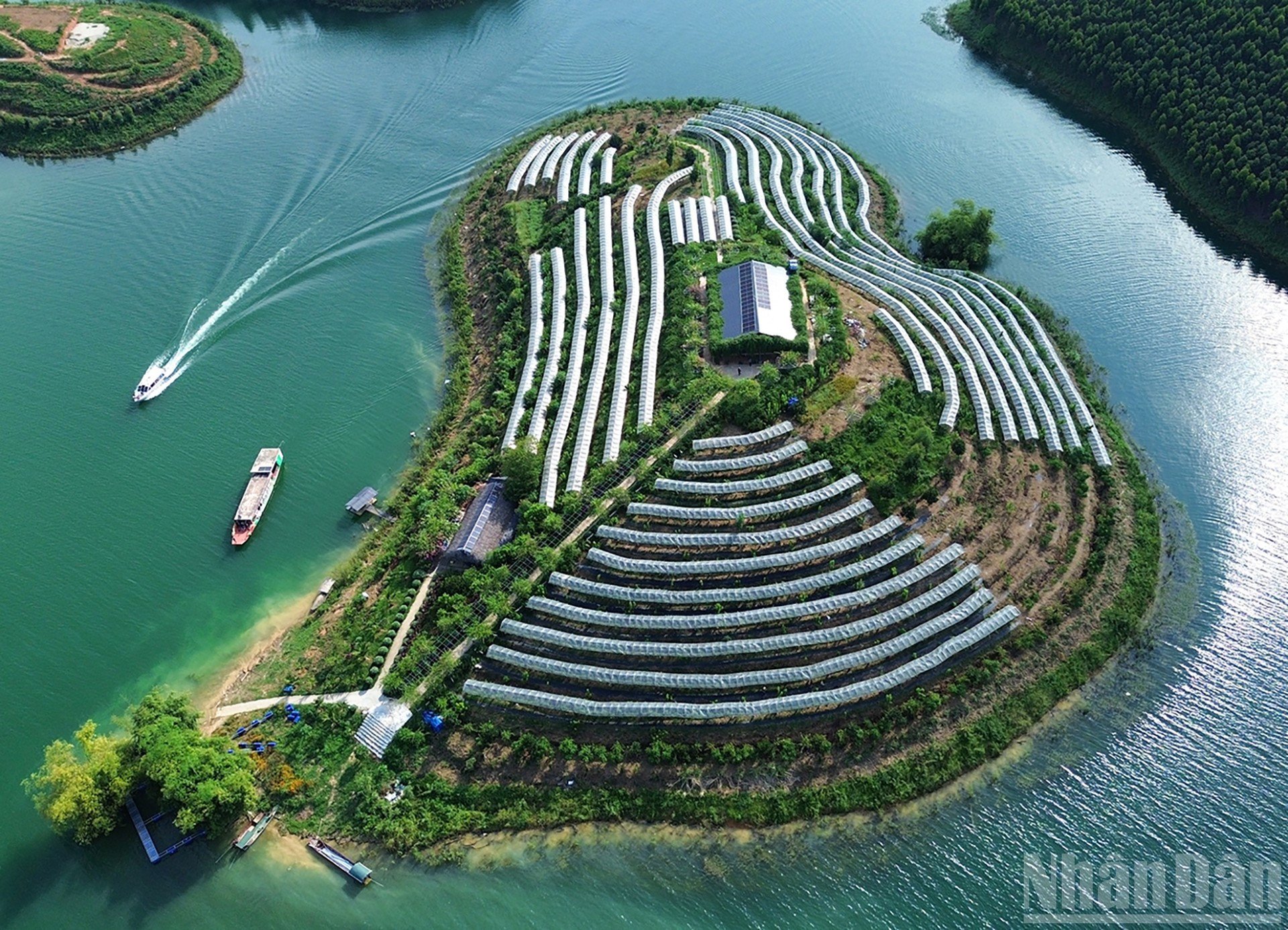 ndo_br_anh-5.jpg