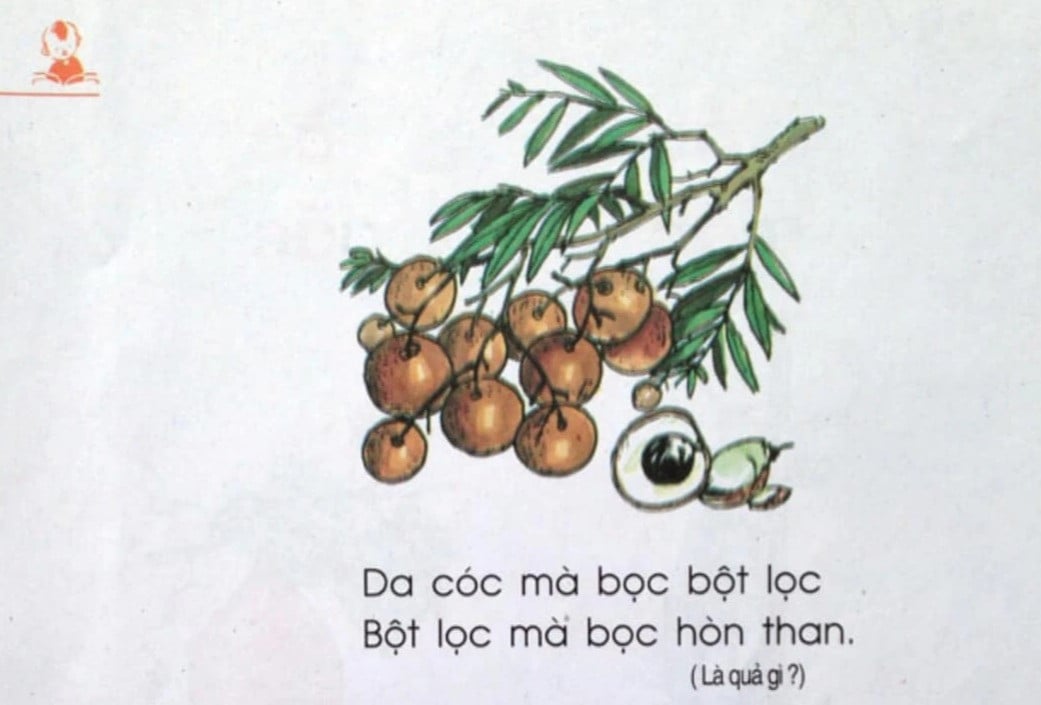 Qua nhan.jpg