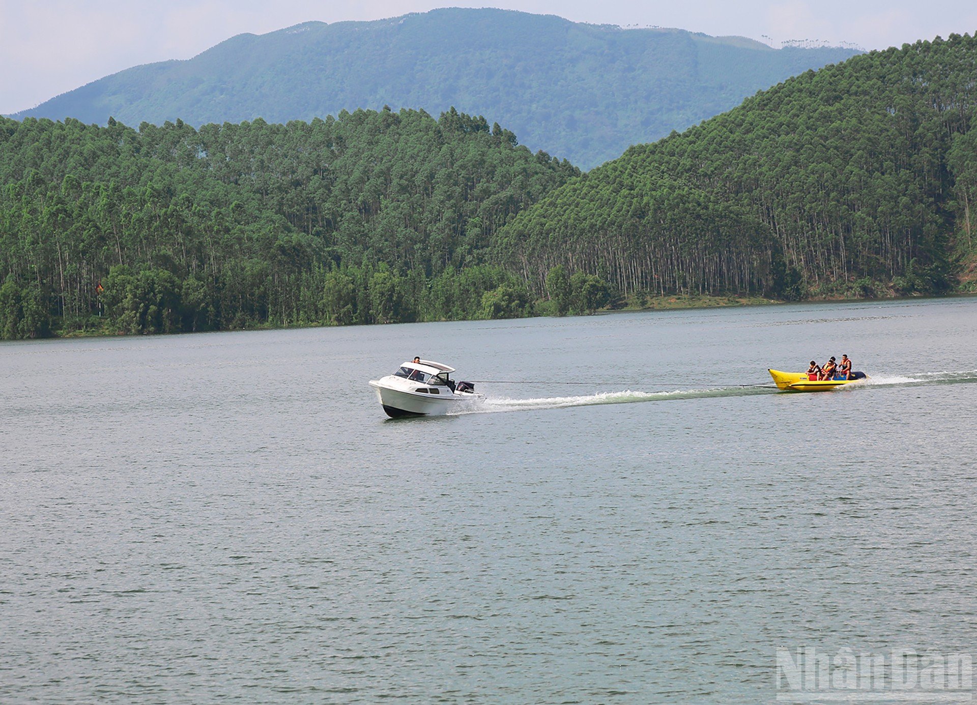 ndo_br_anh-6.jpg