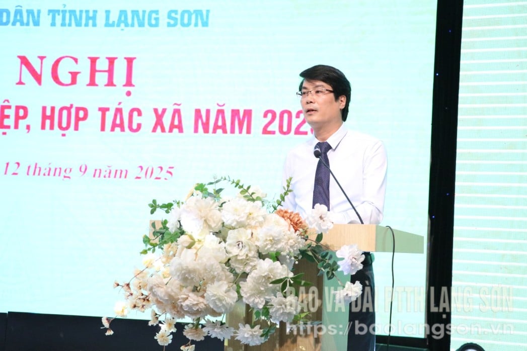 img,2750,16364412.jpg