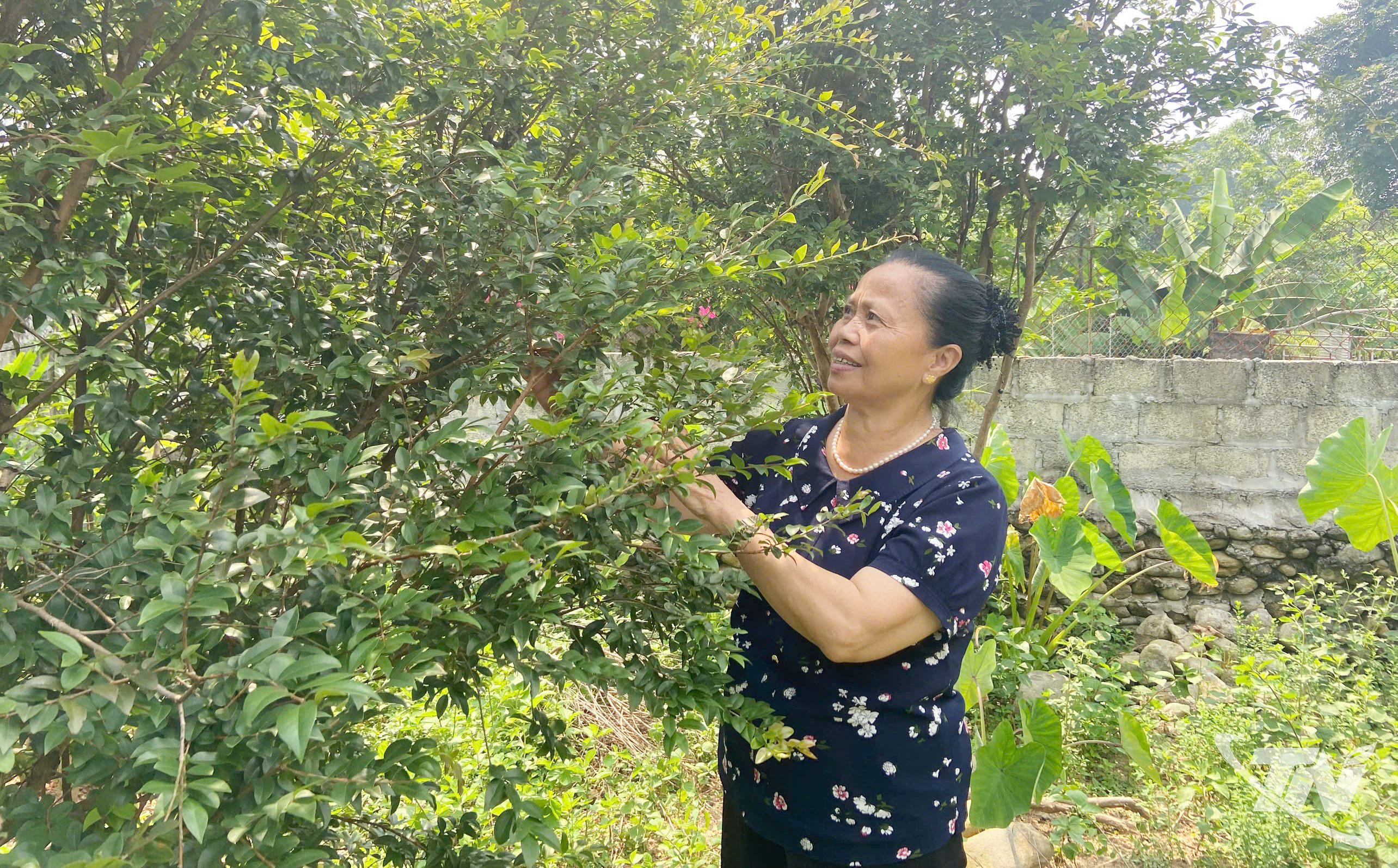 ក្នុង​វ័យ​ជិត ៧០​ឆ្នាំ លោក​ស្រី ណាំ នៅតែ​ខិត​ខំ​ប្រឹង​ប្រែង​ជួយ​សហគមន៍។