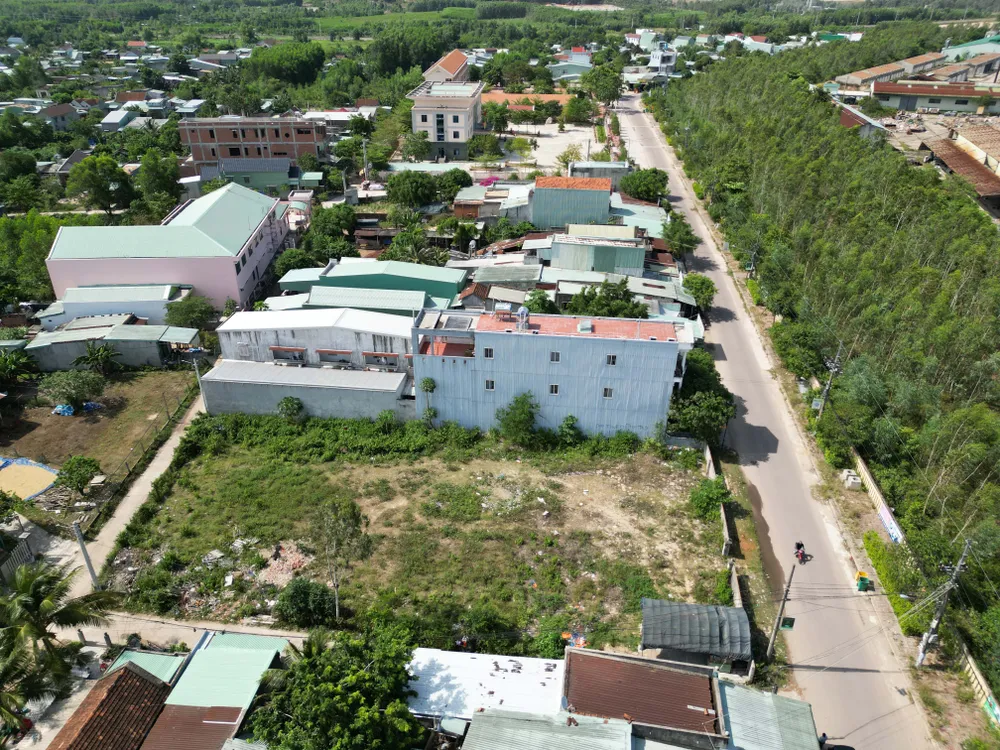 dji-0225-2831-1505.jpg