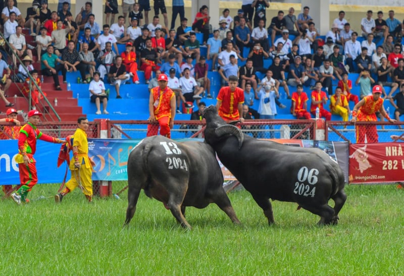 គណៈកម្មាធិការប្រជាជនសង្កាត់ Do Son ត្រូវបានចាត់តាំងឱ្យធ្វើជាអធិបតីក្នុងការរៀបចំពិធីបុណ្យប្រយុទ្ធនឹងក្របីឆ្នាំ 2025 -0