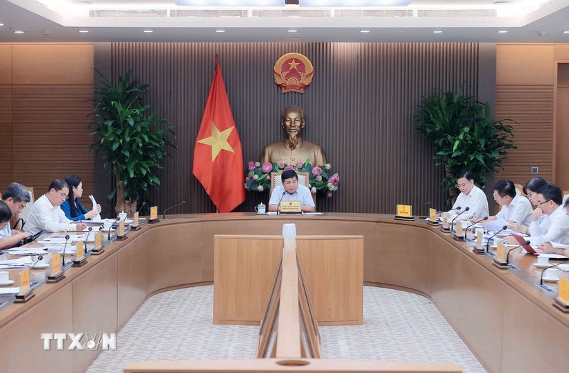 Nguyễn Chi Dũng miniszterelnök-helyettes elnökölt a találkozón. (Fotó: An Dang/VNA)