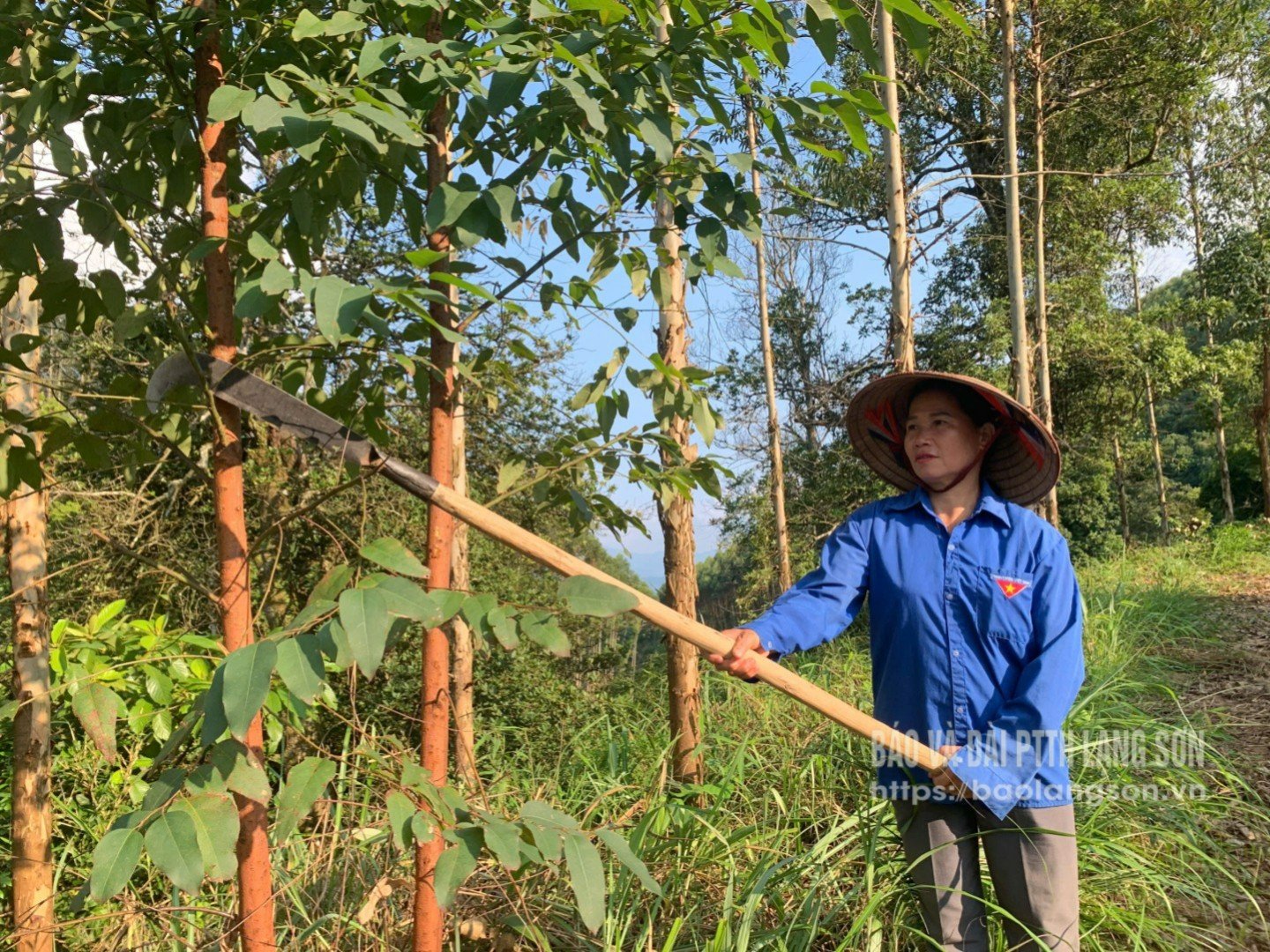 ប្រជា​ពលរដ្ឋ​ឃុំ​ដូង​ថែរក្សា​ព្រៃ​ឈើ​អេកាលីប