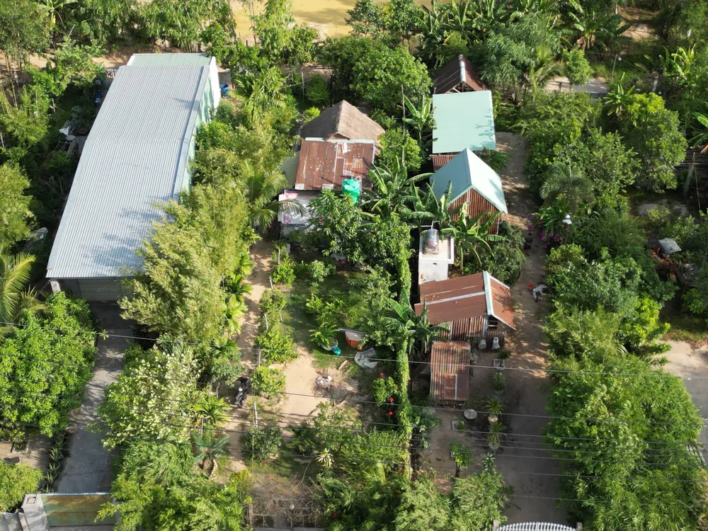 dji-0274-5940-3236.jpg