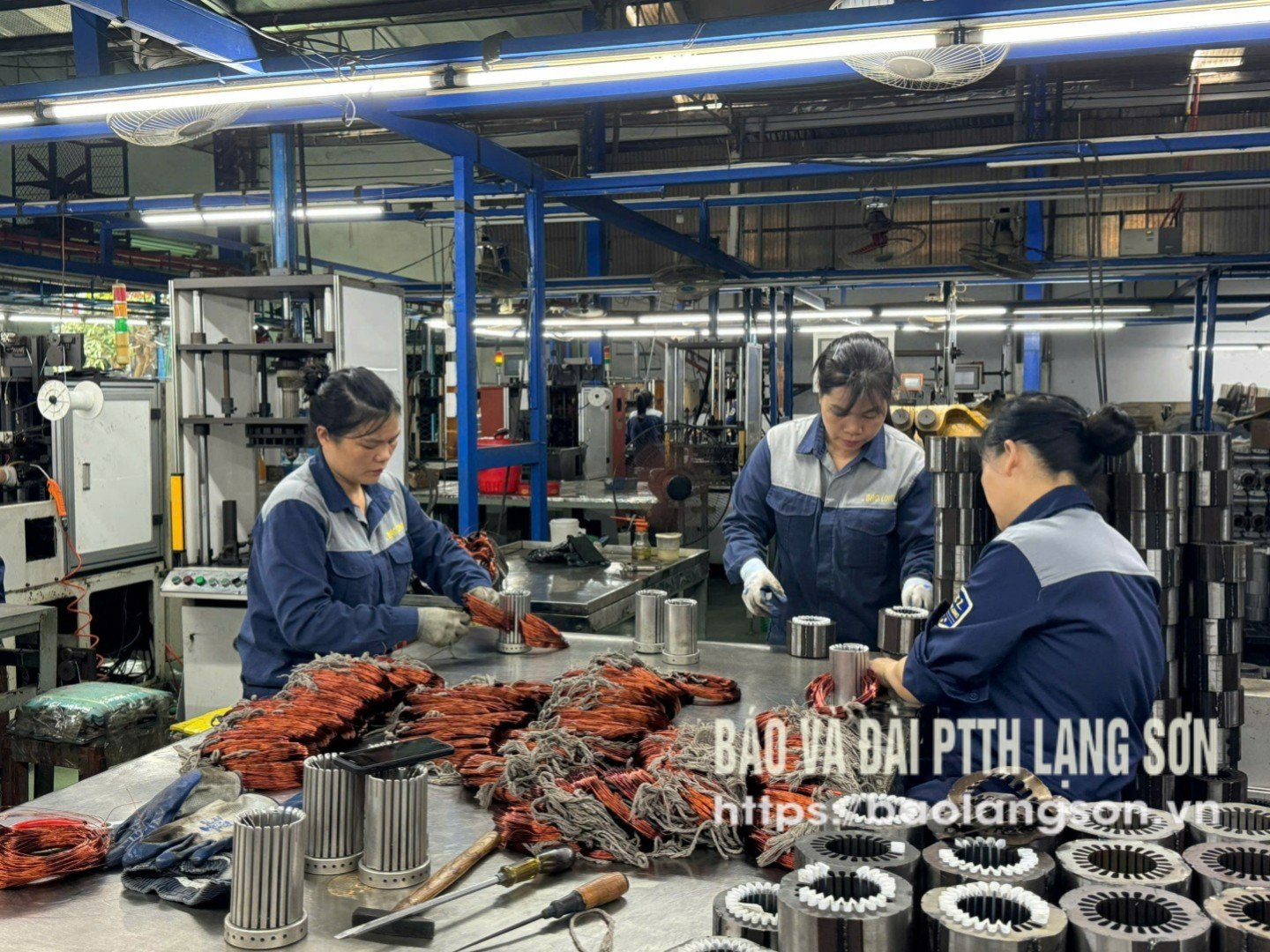 Aktiviti pengeluaran di Bao Long Company Limited, wad Ky Lua