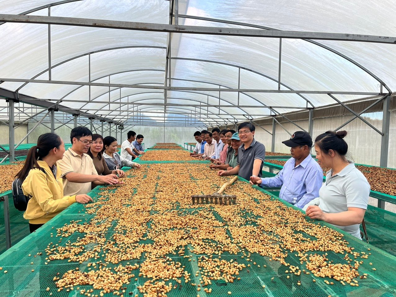 កាហ្វេទឹកឃ្មុំ