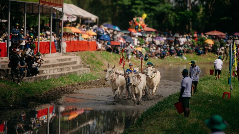 នៅថ្ងៃទី 20 ខែកញ្ញា ឆ្នាំ 2025 ទីលានប្រណាំងនៅមជ្ឈមណ្ឌលកីឡា-ទេសចរណ៍ Ta Pa-Soai Chek (ឃុំ Tri Ton ខេត្ត An Giang) បានរៀបចំពិធីបុណ្យប្រណាំងទូក Bay Nui Bull សម្រាប់ពានរង្វាន់ទូរទស្សន៍ An Giang ។ (រូបថត៖ DANH THANH)