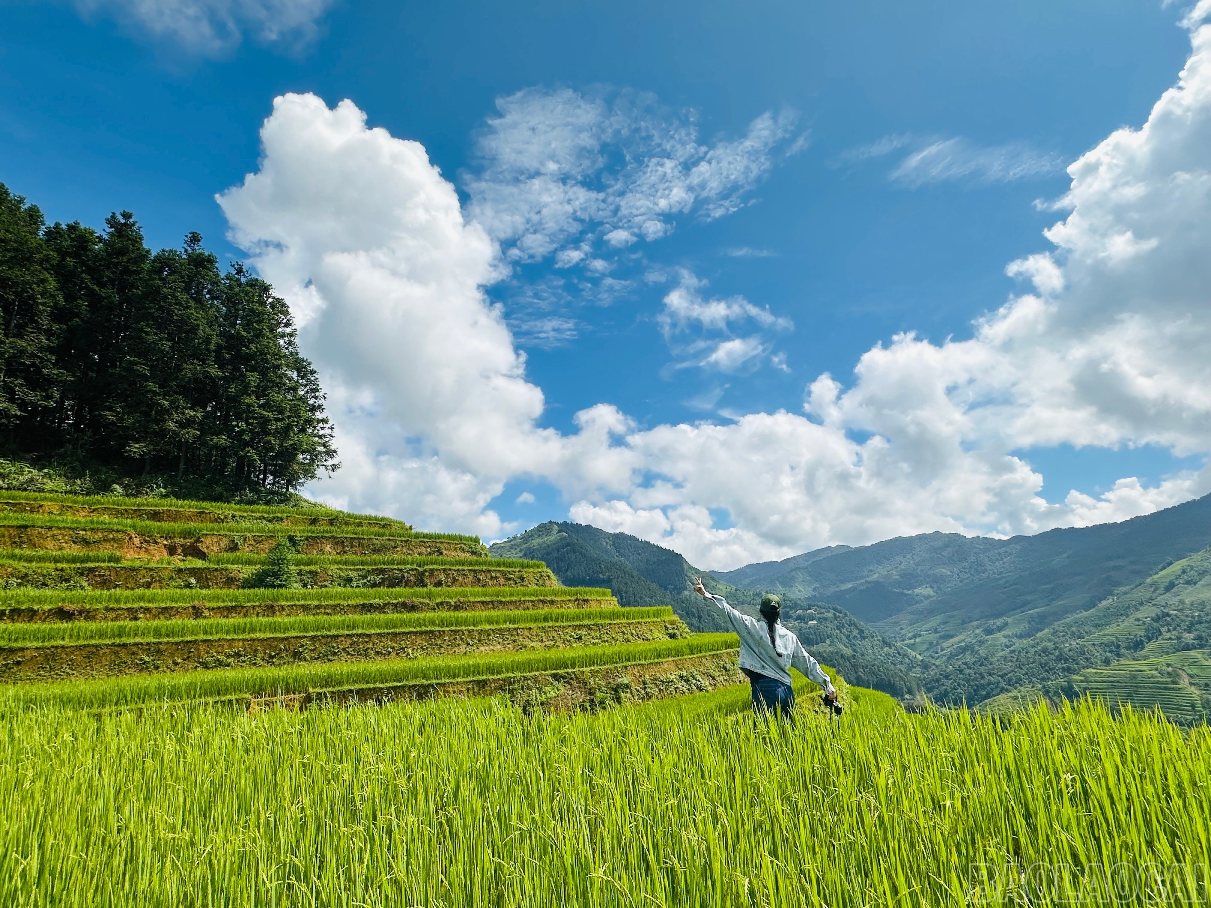baolaocai-br_img-4338.jpg