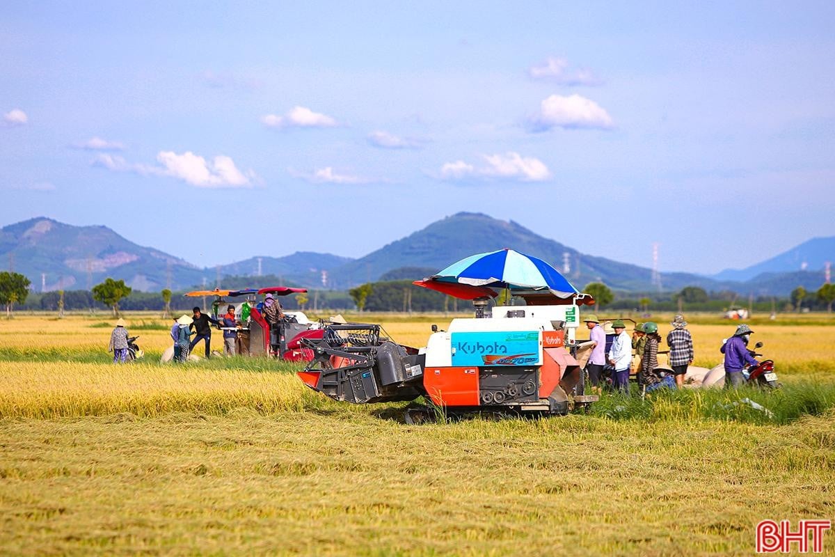 រូបភាព-56.jpg