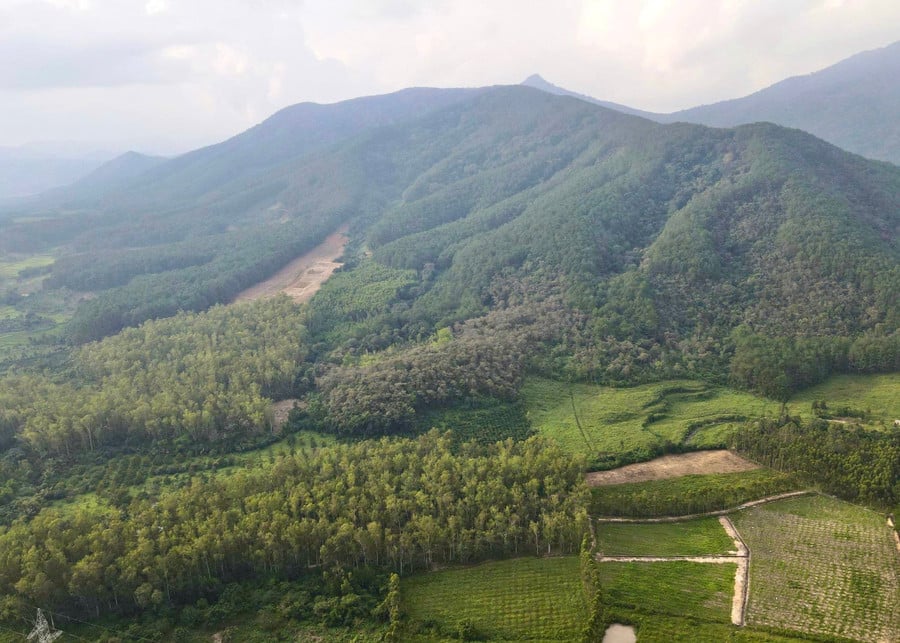 tu-nam-2021-2024-khu-vuc-phia-tay-tinh-da-trong-hon-33100-ha-rung.jpg
