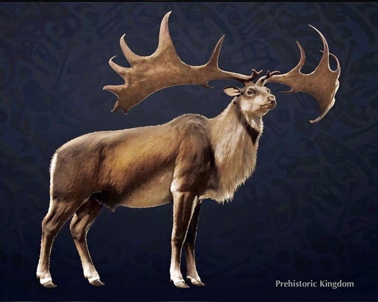 アイルランドの神話上の獣: 扇形の角を持つ巨大な鹿。