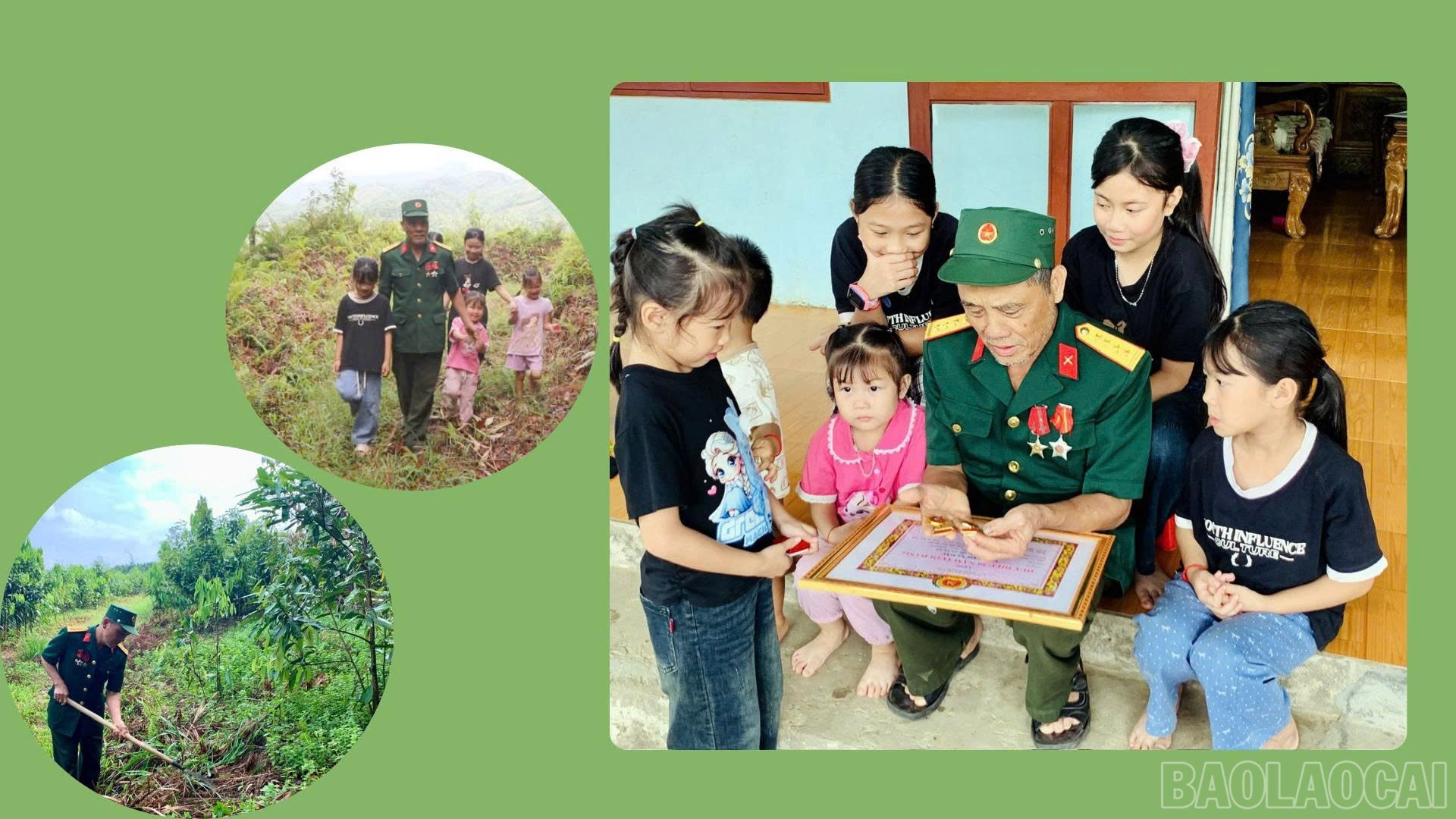 baolaocai-br_anh-3.jpg