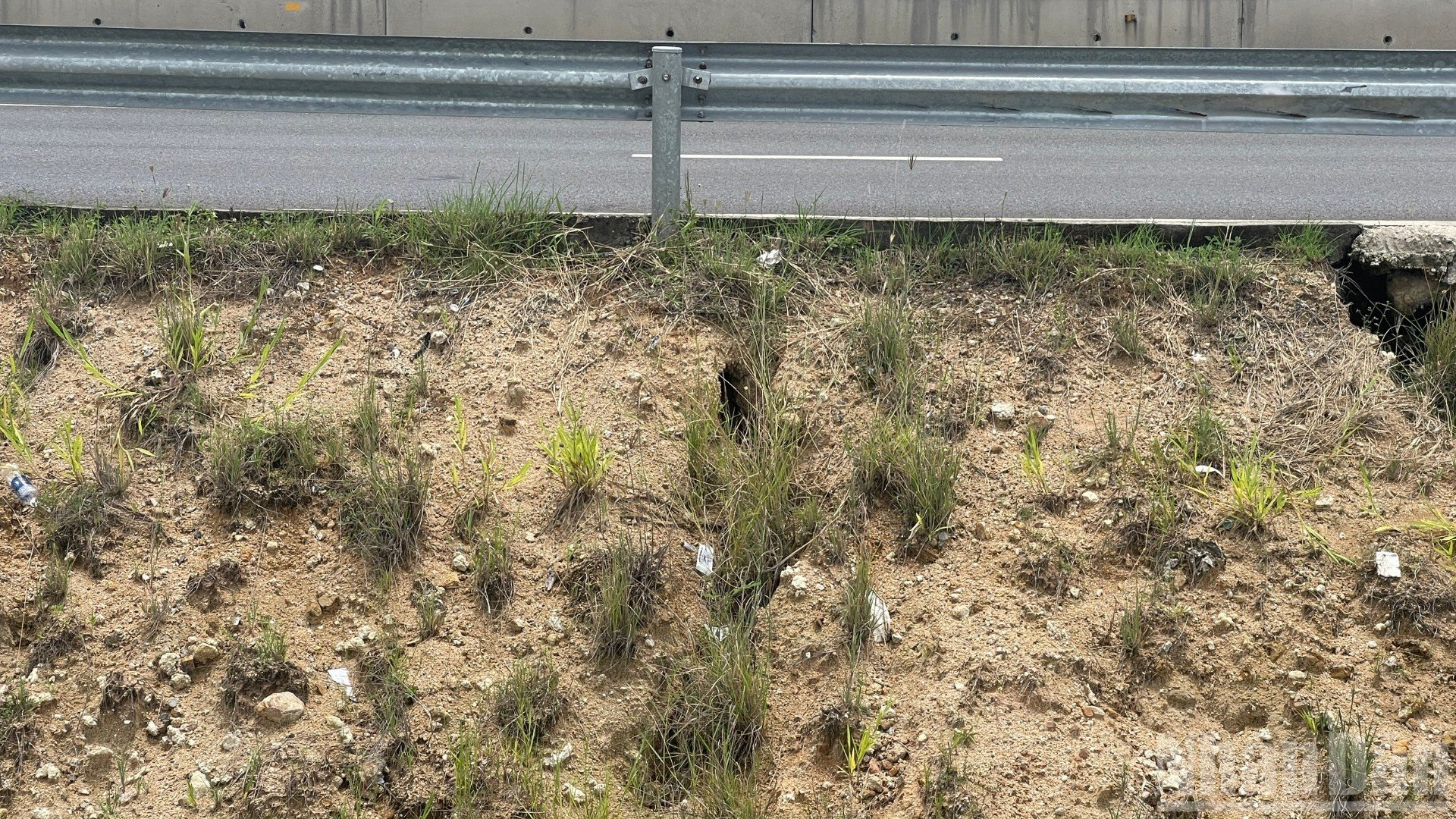 ndo_br_fe220851eacb619538da-368.jpg