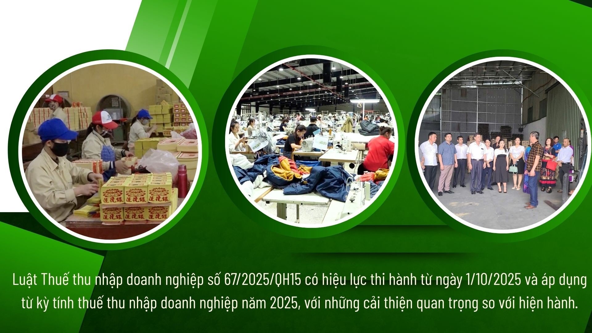 បៃតង-modern-hydroponic-farming-innovations-presentation-38.jpg