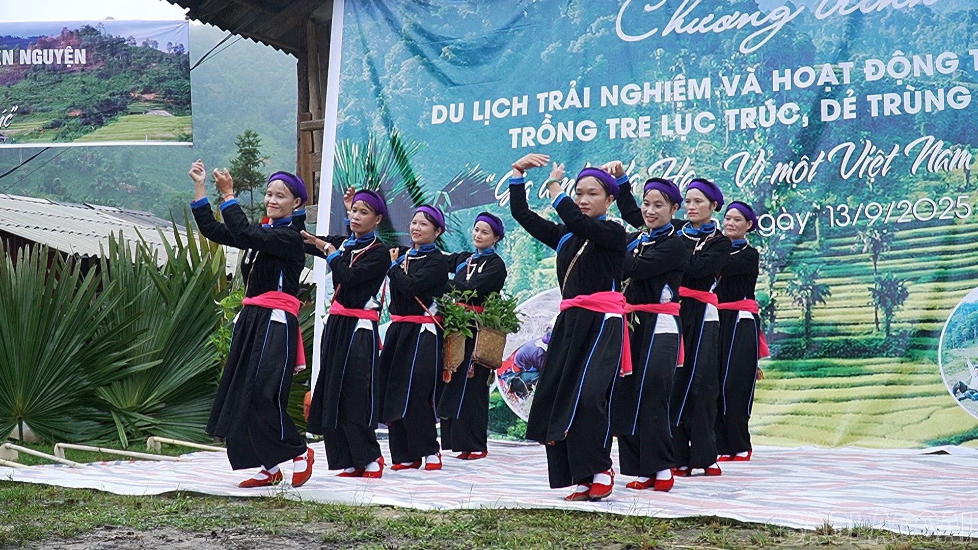 baolaocai-br_title-0100-11-14-16still343.jpg