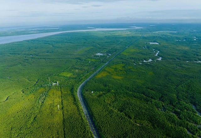 'Chồng cõng vợ' chạy Marathon Cần Giờ trong bộ áo mới- Ảnh 2.