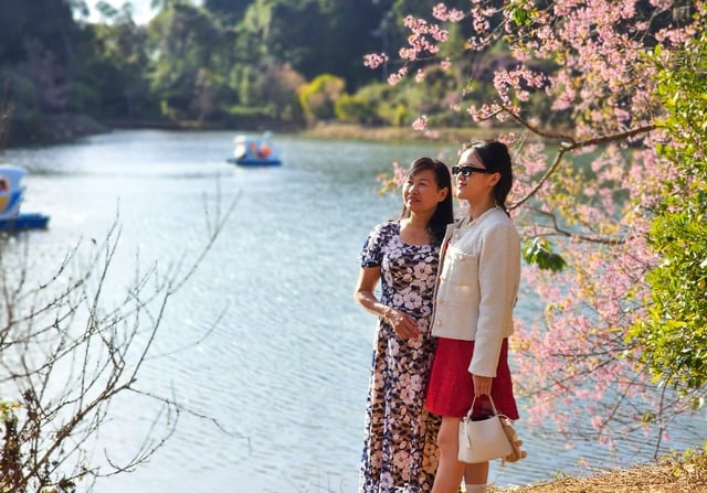 តើ Mang Den ត្រូវ​ធ្វើ​អ្វី​ខ្លះ ដើម្បី​ក្លាយ​ជា​មជ្ឈមណ្ឌល​រមណីយដ្ឋាន​ធម្មជាតិ​របស់​វៀតណាម? - រូបថត ២.