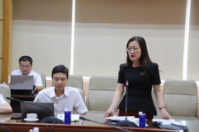 Vụ trưởng Vụ BHYT Trần Thị Trang phát biểu tại cuộc họp.