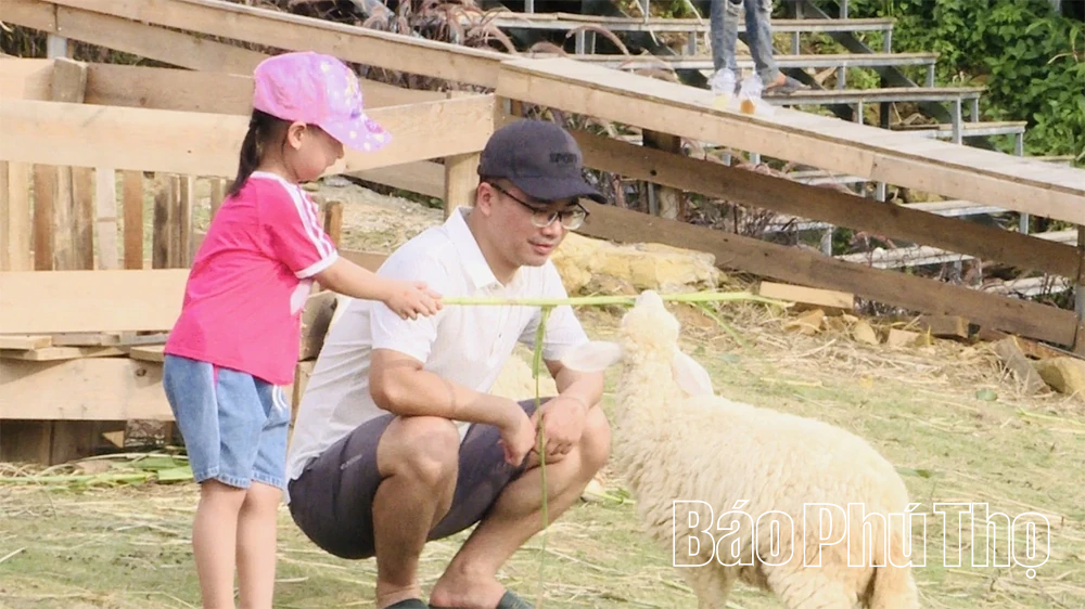 ក្មេងប្រុស San Diu នាំមកនូវខ្យល់ថ្មីដល់ទេសចរណ៍ Tam Dao