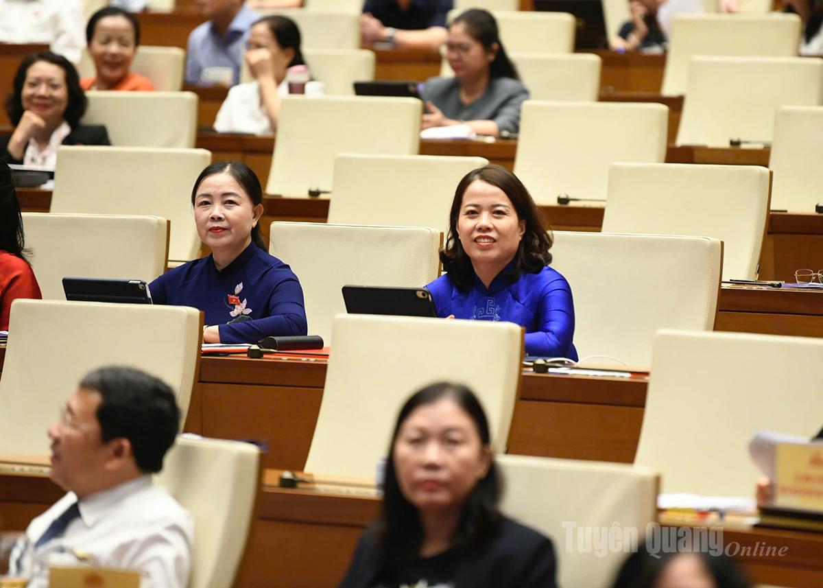 도당 상무위원회 위원이며, 뚜옌꽝성 국회 대표단 단장인 리티란 동지가 하노이 국회의사당에서 직접 회의에 참석했습니다.