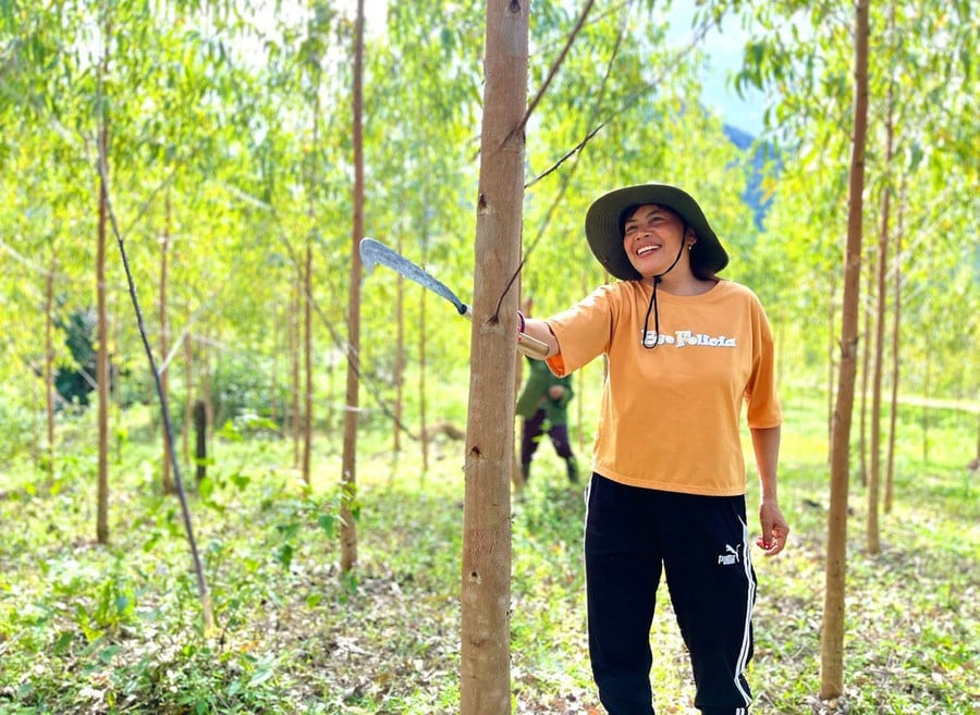 chi-dinh-thi-khyenh-lang-lo-vi-xa-kbang-don-tia-canh-nhanh-tren-dien-tich-rung-trong.jpg