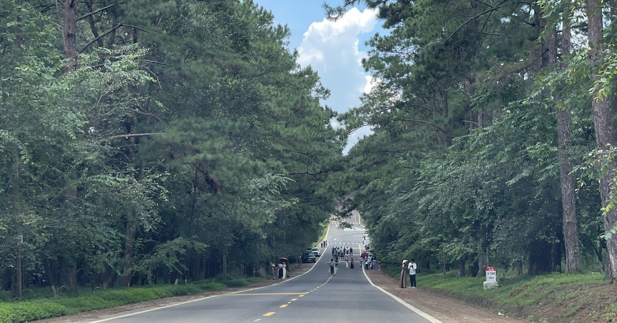 Măng Đen làm gì để thu hút 2,5 triệu lượt khách?