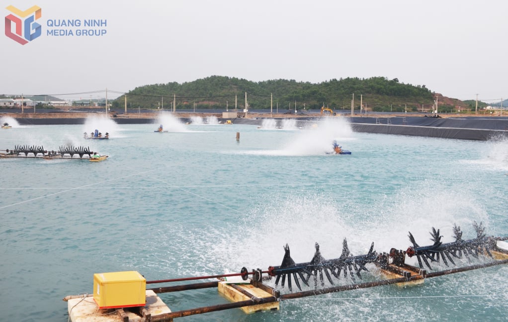 តំបន់​ចិញ្ចឹម​បង្កង​ឃុំ​ហៃ​ឡាង​បច្ចុប្បន្ន​កំពុង​អនុវត្ត​បច្ចេកវិជ្ជា​ខ្ពស់​ក្នុងការ​ចិញ្ចឹម​បង្កង​នៅ​ក្រៅ​ឆាក​ជាច្រើន​ដំណាក់កាល​។