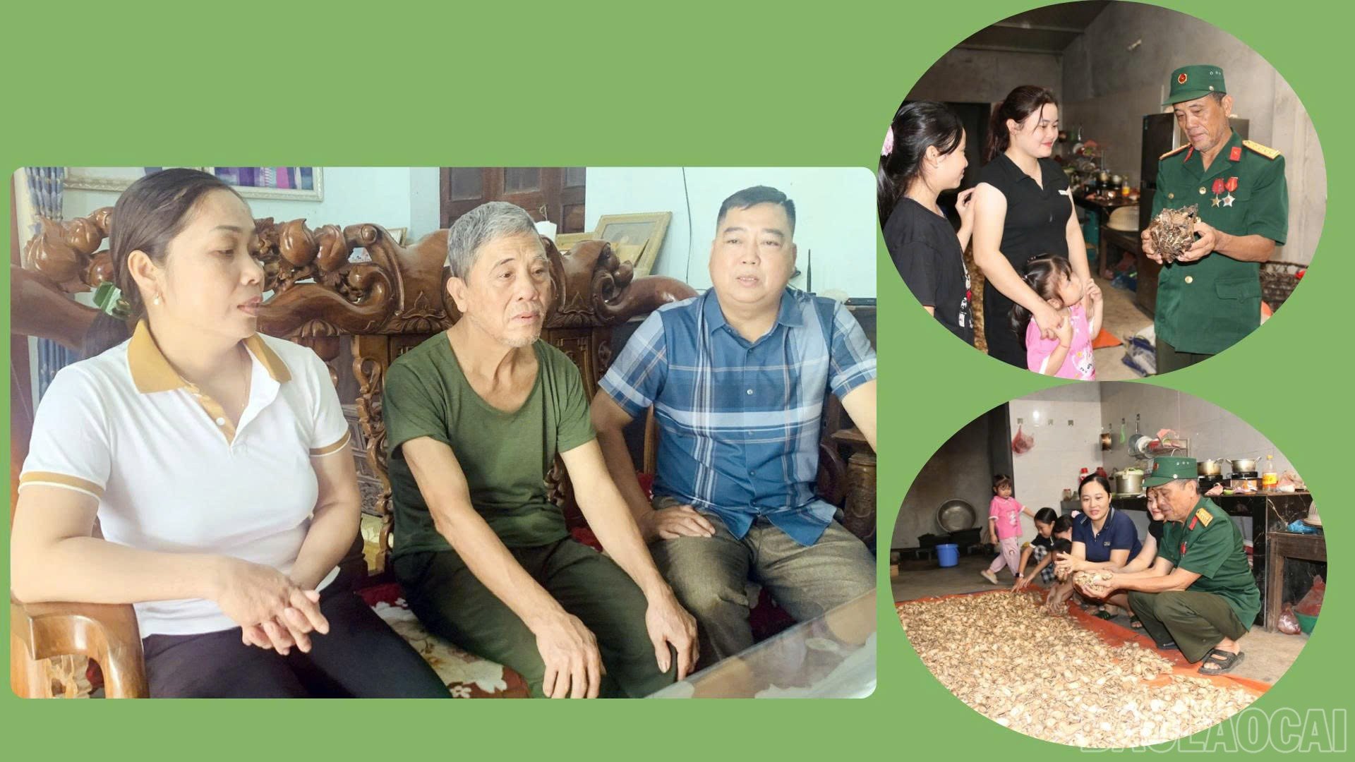 baolaocai-br_anh-2.jpg