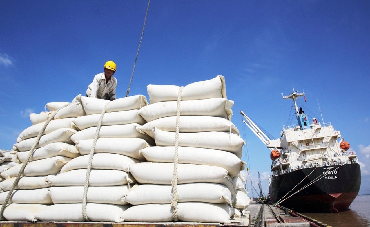 Giá lúa gạo hôm nay 14/9: Tụt dốc trên thị trường quốc tế
