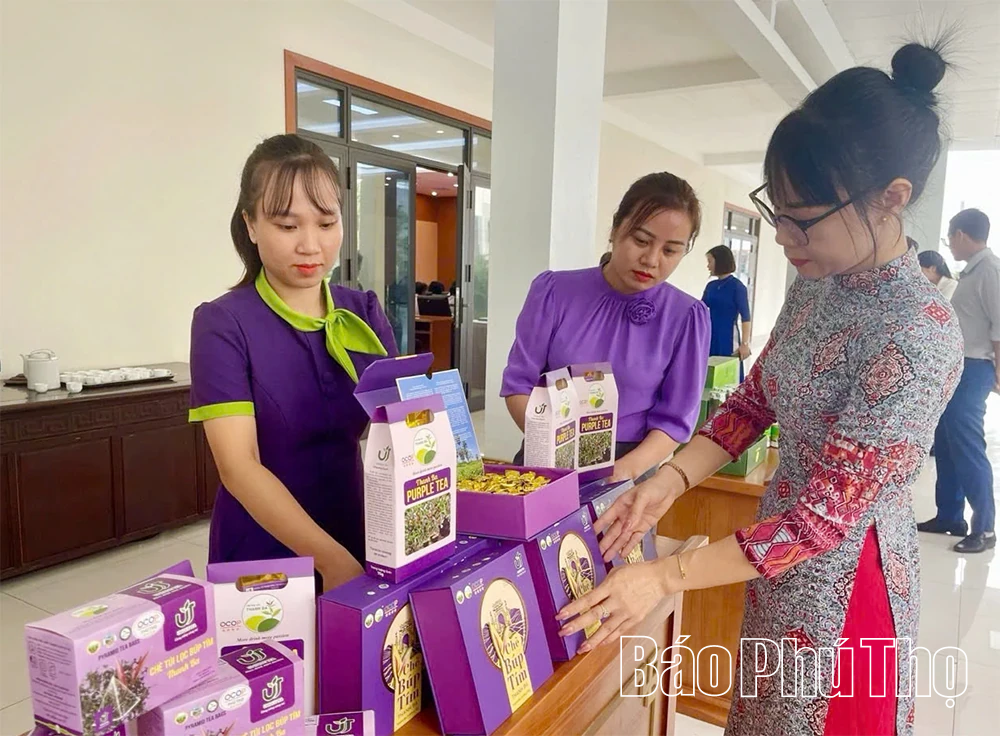 នាំកសិផលសំខាន់ៗទៅឆ្ងាយ