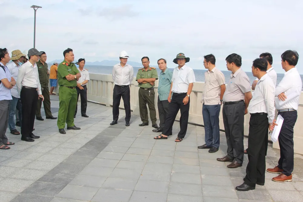 leduong_vungtau.jpg