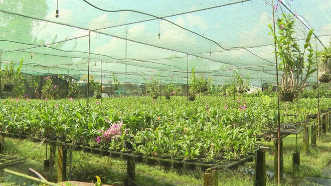 TP.HCM chính thức cho phép xây công trình phụ trợ trên đất nông nghiệp- Ảnh 1.