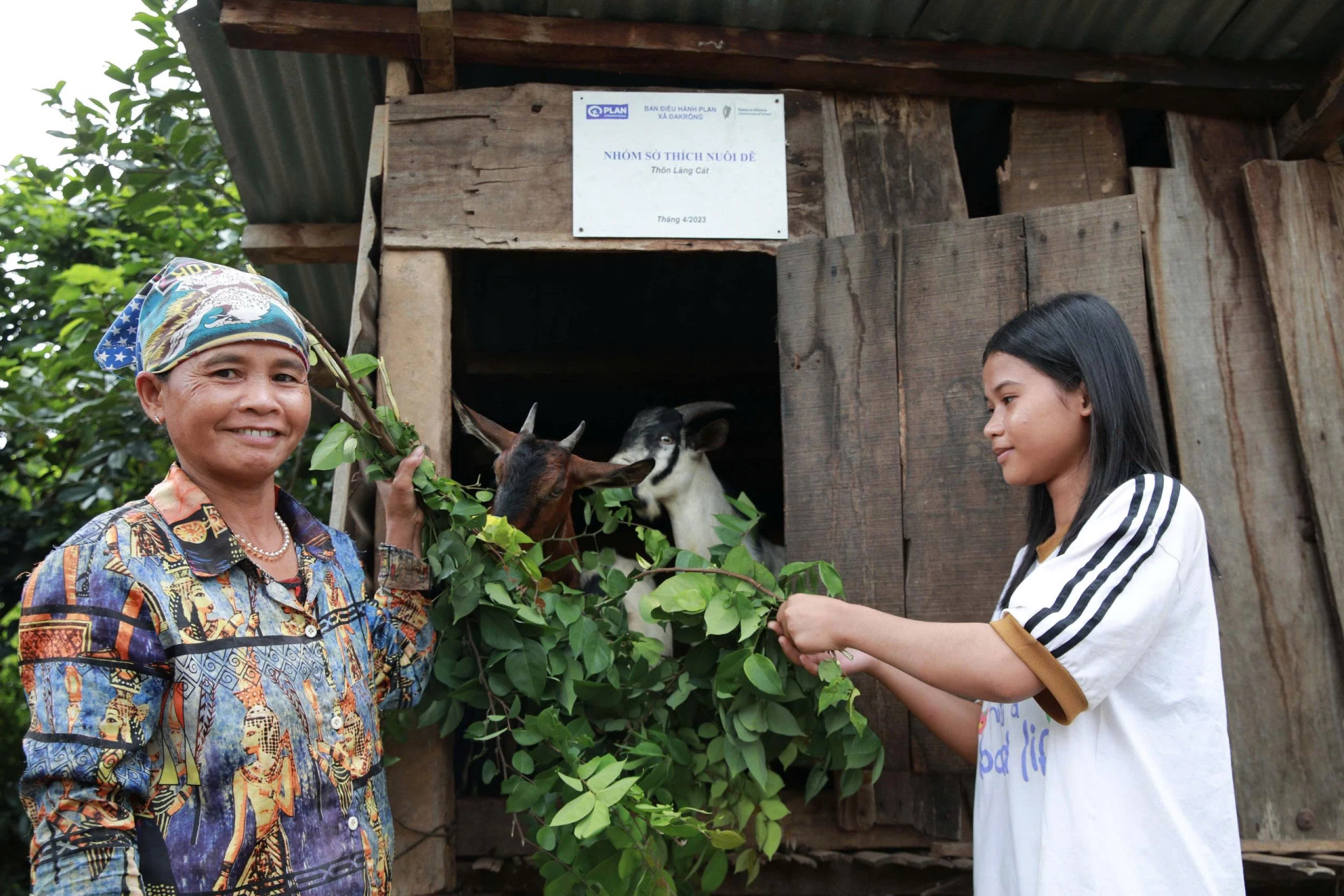 លោកស្រី Ho Thi Mien នៅឃុំ Dakrong ជាមួយគំរូចិញ្ចឹមពពែពីកម្មវិធី “ឆ្ពោះទៅមុខ” - រូបថត៖ P.T.L