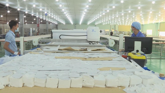 Xây dựng kinh tế số theo ngành, hỗ trợ doanh nghiệp khởi nghiệp tiến nhanh- Ảnh 8.