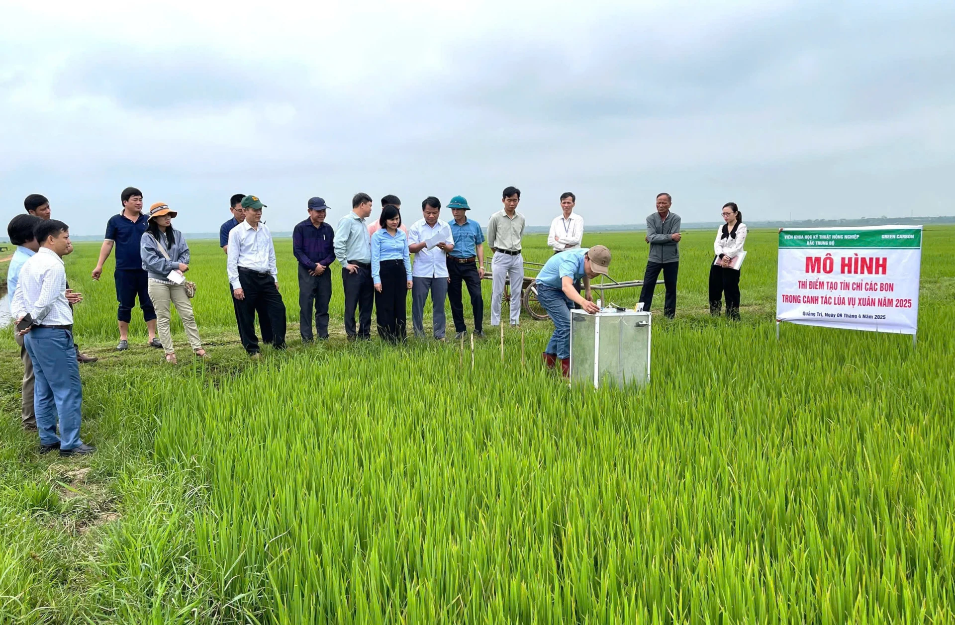 Lãnh đạo Sở NN&MT tỉnh Quảng Trị và Viện Khoa học Kỹ thuật nông nghiệp Bắc Trung bộ, Công ty Green Carbon kiểm tra mô hình lúa giảm phát thải khí nhà kính tại HTX Duy Viên, xã Vĩnh Thủy  - Ảnh: N.B
